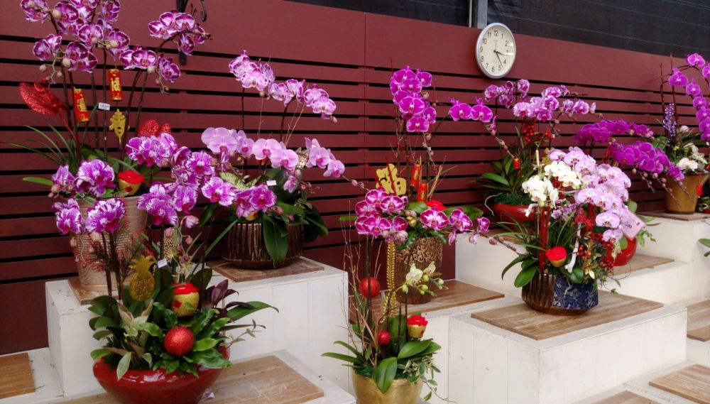 Jiun-lin Orchid Shop (in Taipei Garden Mall)