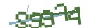 認證碼圖片